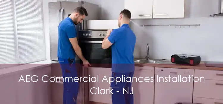 AEG Commercial Appliances Installation Clark - NJ