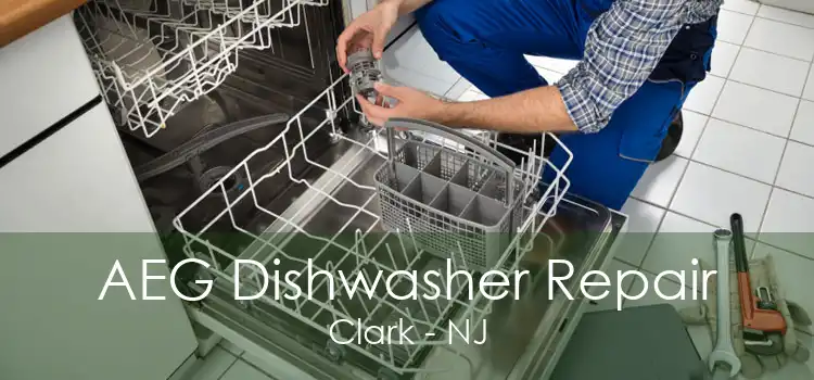 AEG Dishwasher Repair Clark - NJ