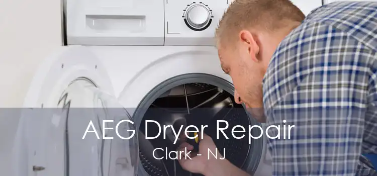 AEG Dryer Repair Clark - NJ