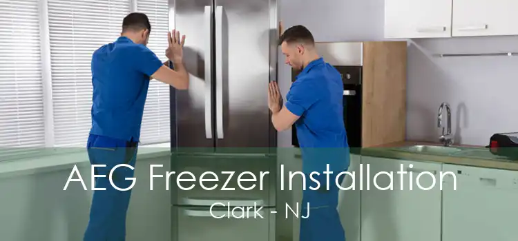 AEG Freezer Installation Clark - NJ