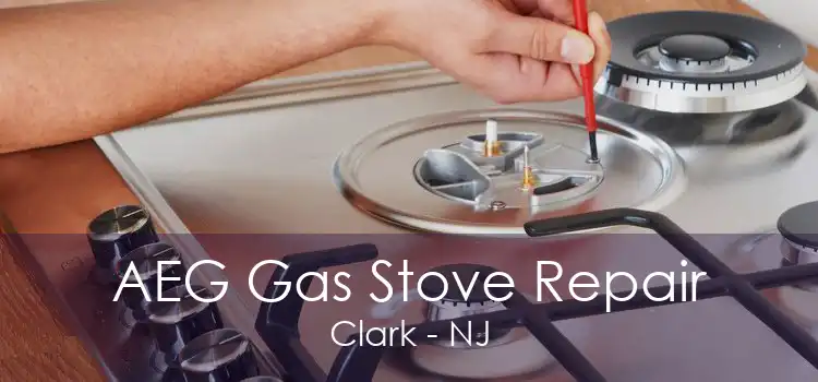 AEG Gas Stove Repair Clark - NJ