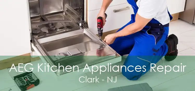 AEG Kitchen Appliances Repair Clark - NJ