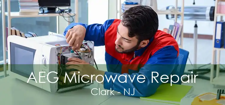 AEG Microwave Repair Clark - NJ