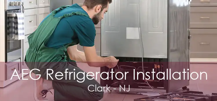 AEG Refrigerator Installation Clark - NJ