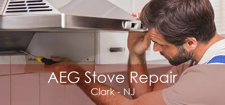 AEG Stove Repair Clark - NJ