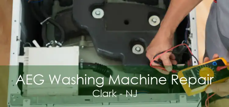 AEG Washing Machine Repair Clark - NJ