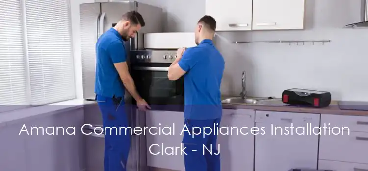 Amana Commercial Appliances Installation Clark - NJ