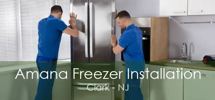 Amana Freezer Installation Clark - NJ