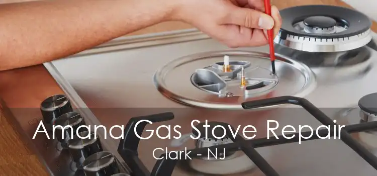 Amana Gas Stove Repair Clark - NJ