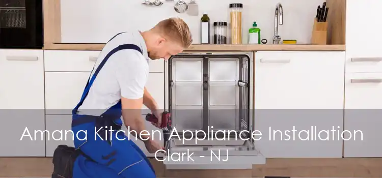 Amana Kitchen Appliance Installation Clark - NJ