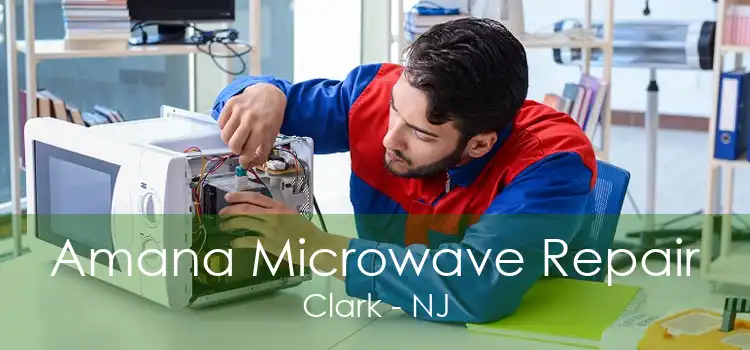 Amana Microwave Repair Clark - NJ