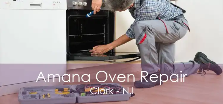 Amana Oven Repair Clark - NJ