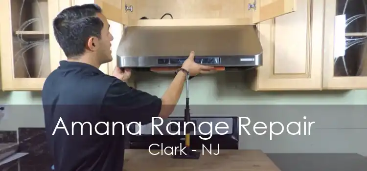 Amana Range Repair Clark - NJ