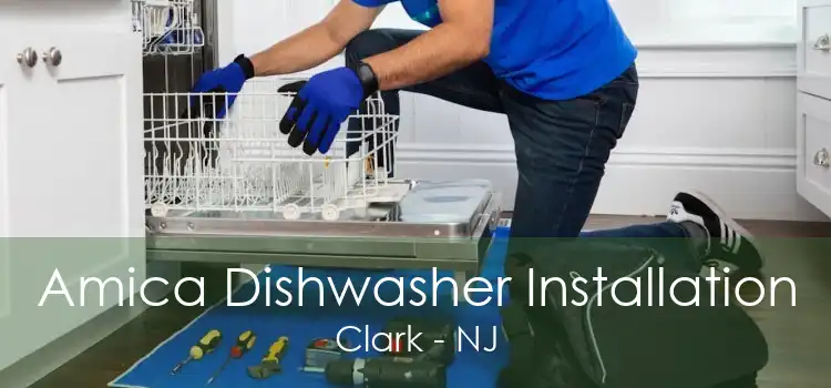 Amica Dishwasher Installation Clark - NJ