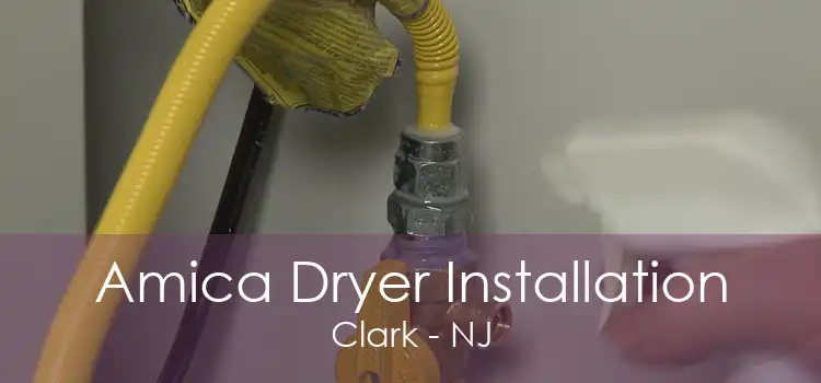 Amica Dryer Installation Clark - NJ