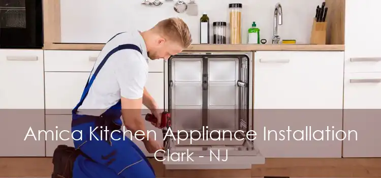 Amica Kitchen Appliance Installation Clark - NJ