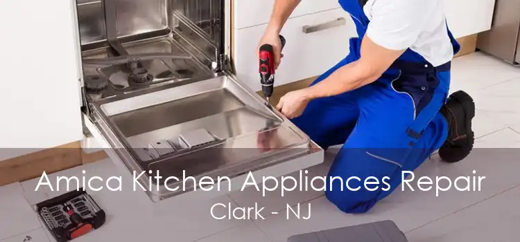 Amica Kitchen Appliances Repair Clark - NJ