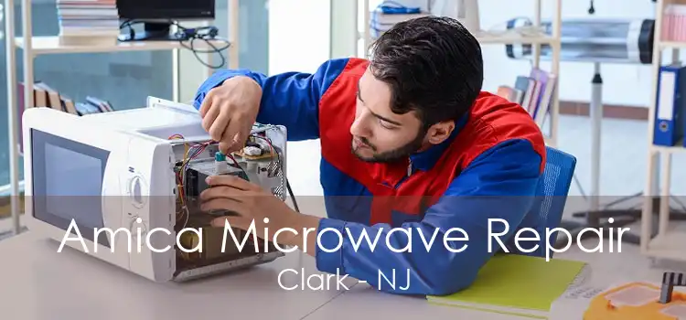 Amica Microwave Repair Clark - NJ