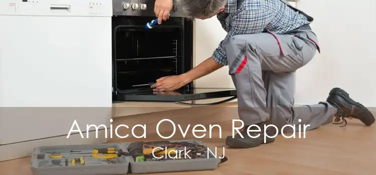 Amica Oven Repair Clark - NJ