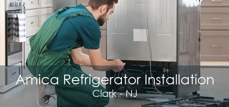 Amica Refrigerator Installation Clark - NJ