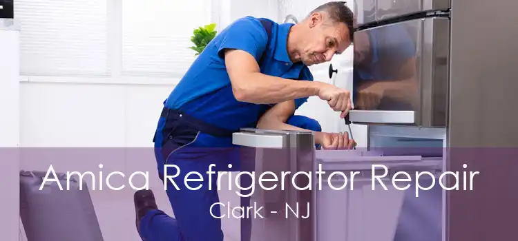 Amica Refrigerator Repair Clark - NJ