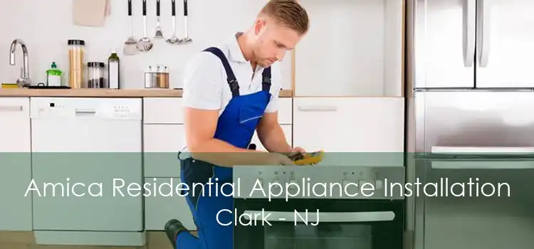 Amica Residential Appliance Installation Clark - NJ