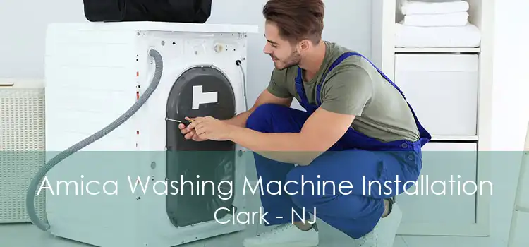 Amica Washing Machine Installation Clark - NJ