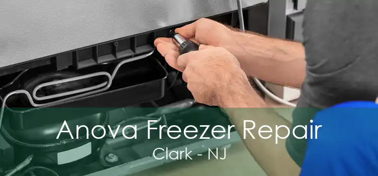 Anova Freezer Repair Clark - NJ