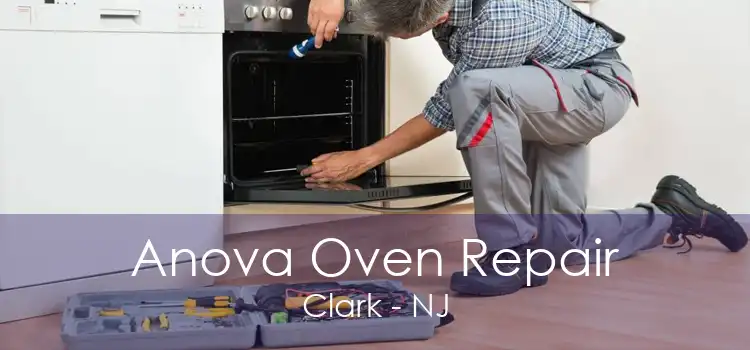 Anova Oven Repair Clark - NJ