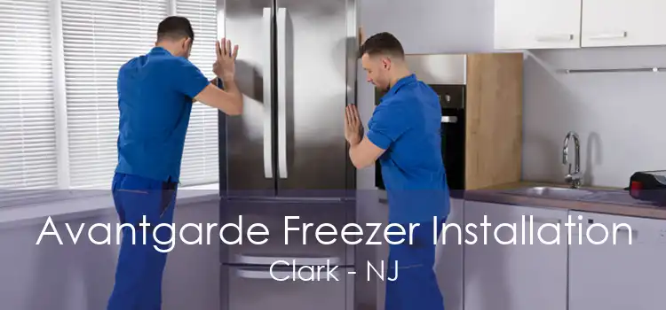 Avantgarde Freezer Installation Clark - NJ