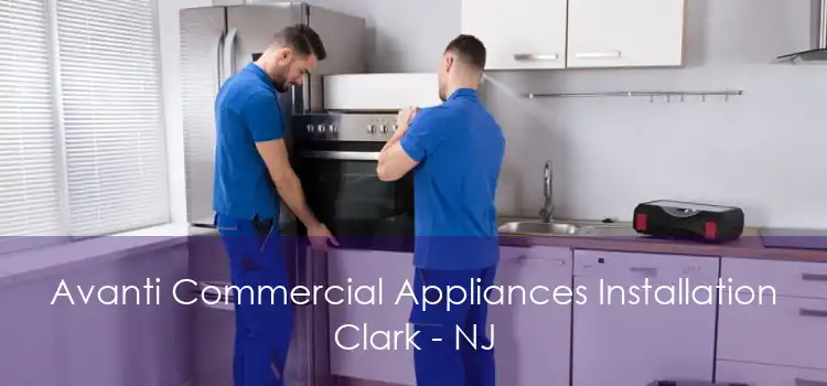 Avanti Commercial Appliances Installation Clark - NJ