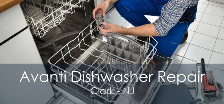 Avanti Dishwasher Repair Clark - NJ