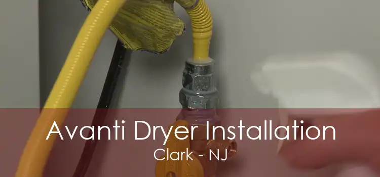 Avanti Dryer Installation Clark - NJ