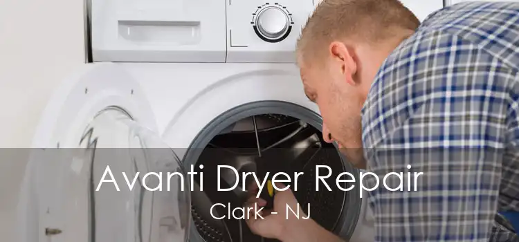 Avanti Dryer Repair Clark - NJ