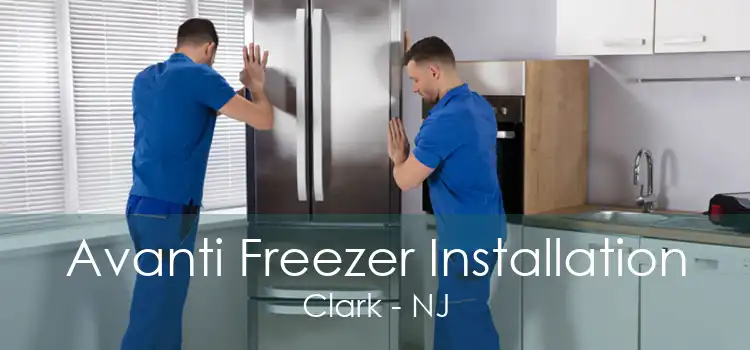 Avanti Freezer Installation Clark - NJ