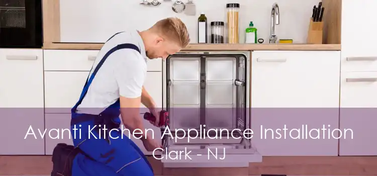 Avanti Kitchen Appliance Installation Clark - NJ