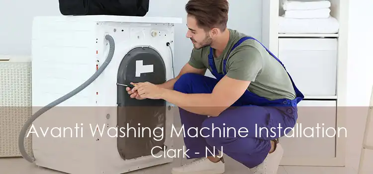 Avanti Washing Machine Installation Clark - NJ