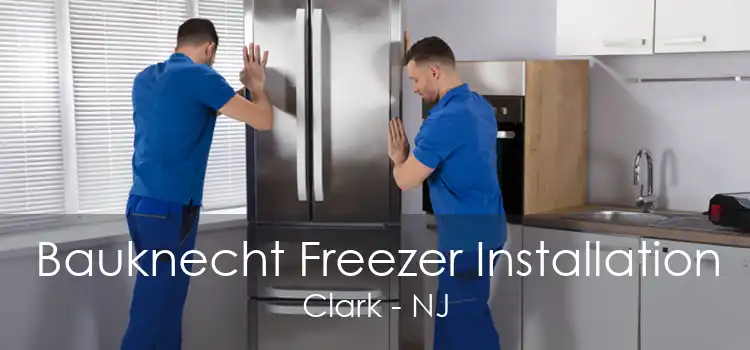 Bauknecht Freezer Installation Clark - NJ