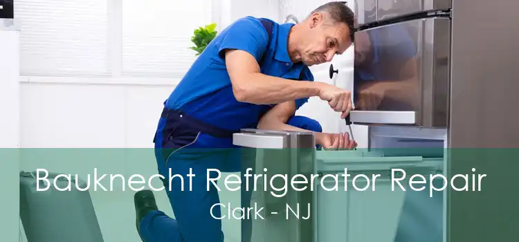 Bauknecht Refrigerator Repair Clark - NJ