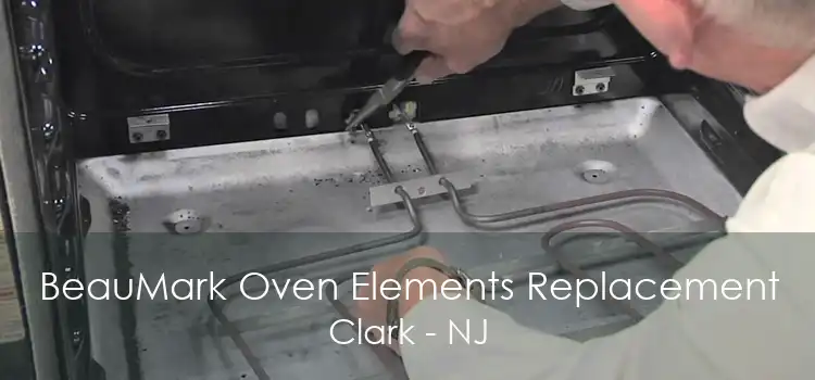 BeauMark Oven Elements Replacement Clark - NJ