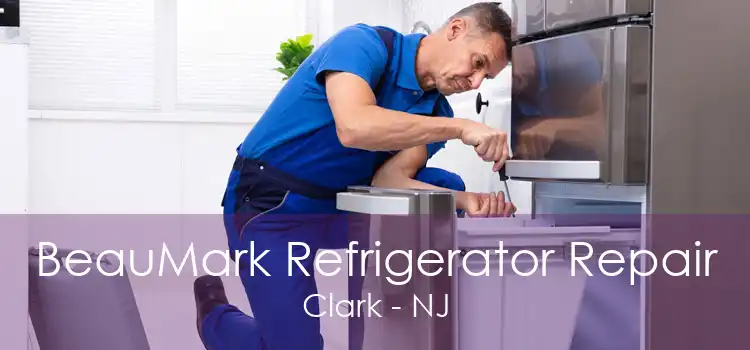 BeauMark Refrigerator Repair Clark - NJ