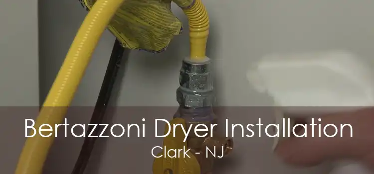 Bertazzoni Dryer Installation Clark - NJ