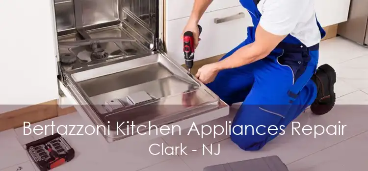 Bertazzoni Kitchen Appliances Repair Clark - NJ