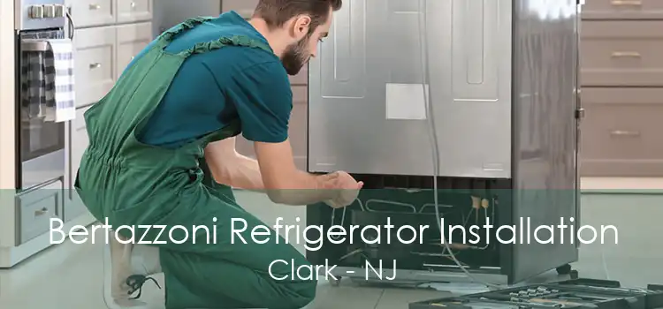 Bertazzoni Refrigerator Installation Clark - NJ