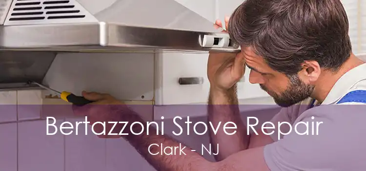 Bertazzoni Stove Repair Clark - NJ