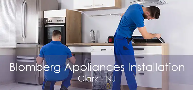 Blomberg Appliances Installation Clark - NJ