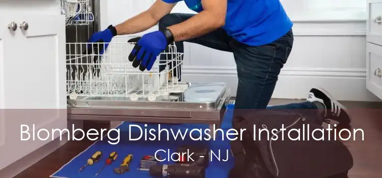 Blomberg Dishwasher Installation Clark - NJ