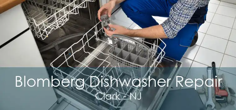 Blomberg Dishwasher Repair Clark - NJ