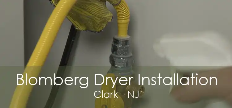 Blomberg Dryer Installation Clark - NJ