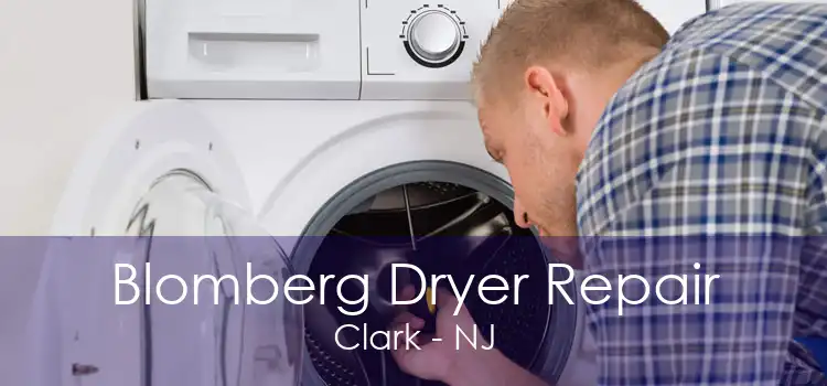 Blomberg Dryer Repair Clark - NJ